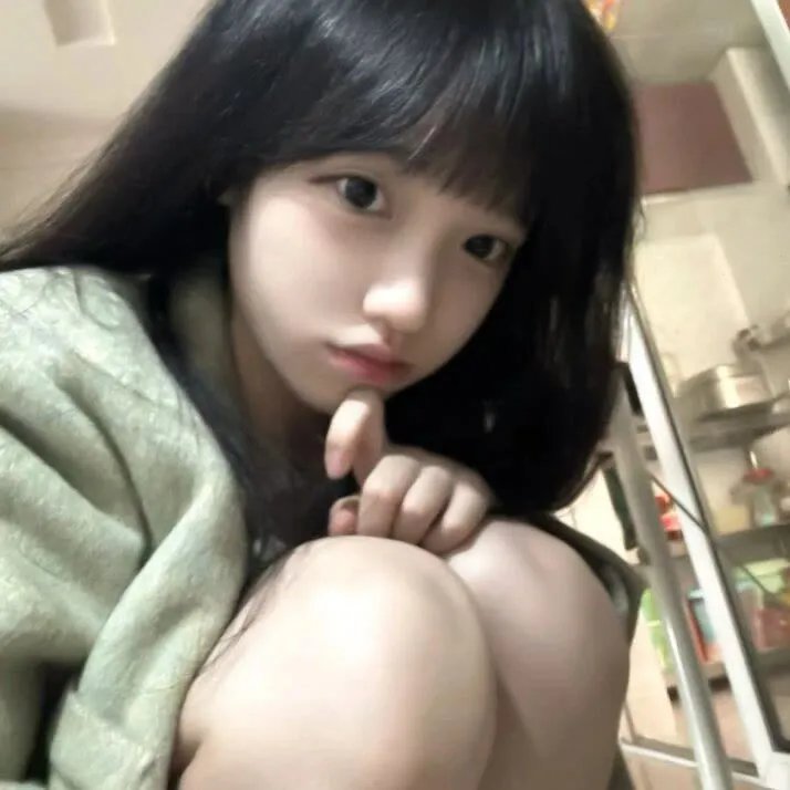 鹈鹕的故事